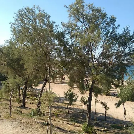 Apartament Orion